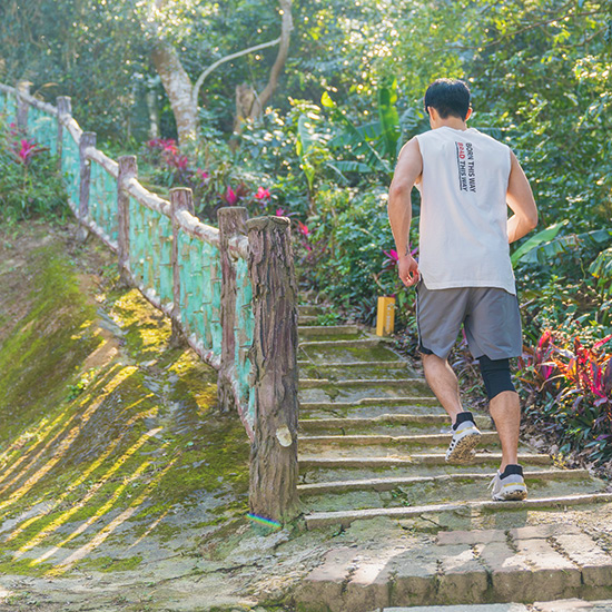 登山健走系列